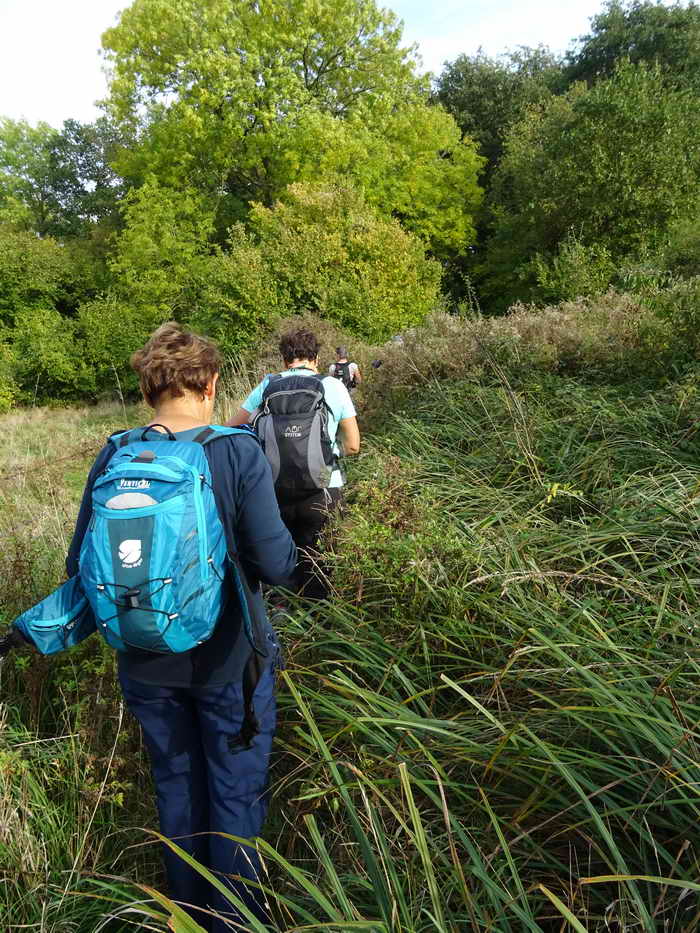 2019 10 12 WE en Champagne_28