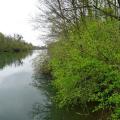 2021 04 11 bords de marne 3