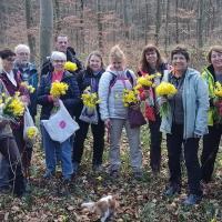 2023 03 19 jonquilles 02