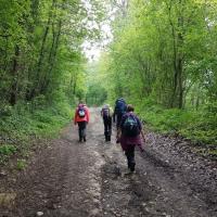 2023 05 14 crepy en valois 05
