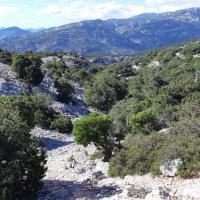 2023 06 11 17 sardaigne 01