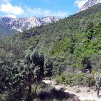 2023 06 11 17 sardaigne 16