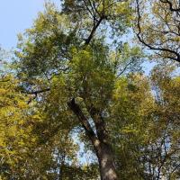 2023 09 10 rando foret de senart 1