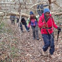 2024 01 14 auvers 01