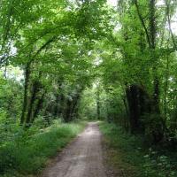 Boucles de la Marne _2