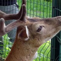 Boucles de la Marne _4