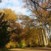 parc du château de Breteuil 3