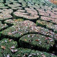 parc du château de Breteuil 6