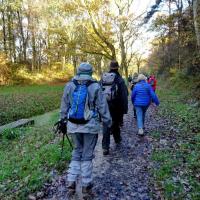 randonnée en vallée de Chevreuse 1
