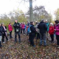 randonnée en vallée de Chevreuse 3