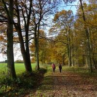 randonnée en vallée de Chevreuse 4