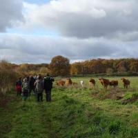 randonnée en vallée de Chevreuse 6