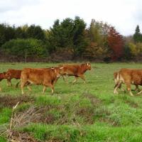 randonnée en vallée de Chevreuse 7